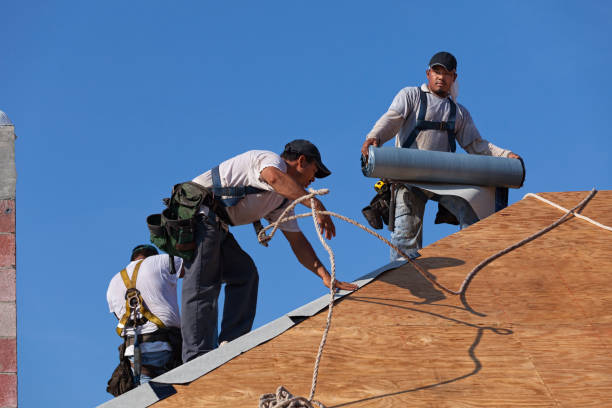 Best Storm Damage Roof Repair  in Durham, NC